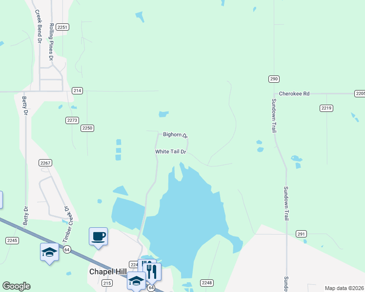 map of restaurants, bars, coffee shops, grocery stores, and more near 13460 White Tail Drive in Tyler