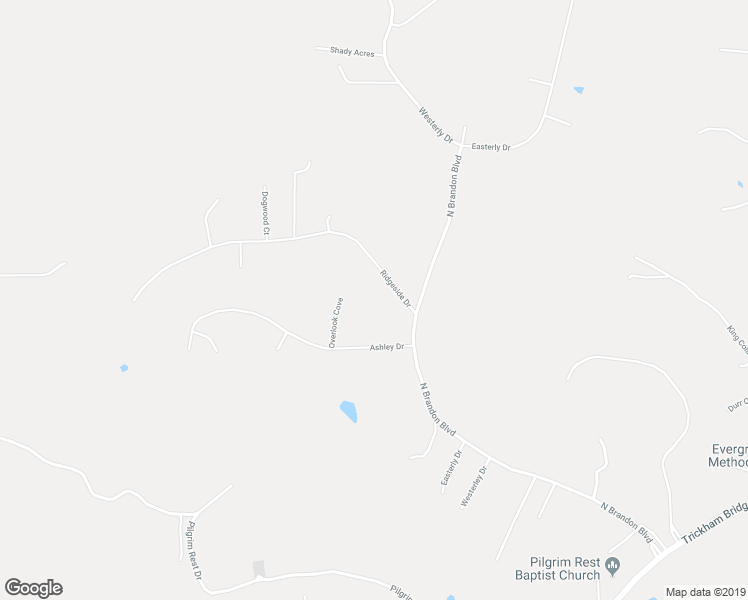 map of restaurants, bars, coffee shops, grocery stores, and more near 919 Ridgeside Drive in Brandon