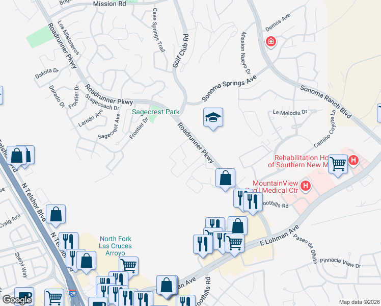 map of restaurants, bars, coffee shops, grocery stores, and more near 251 N Roadrunner Parkway in Las Cruces