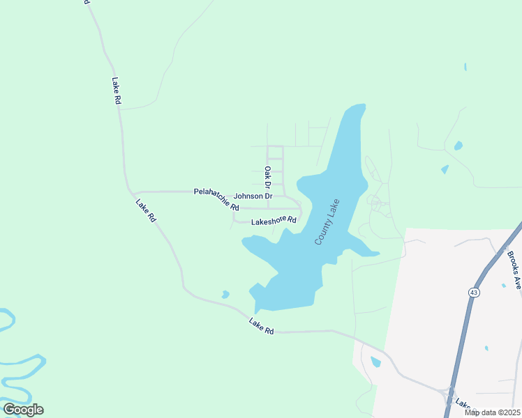 map of restaurants, bars, coffee shops, grocery stores, and more near 207 Pelahatchie Road in Pelahatchie