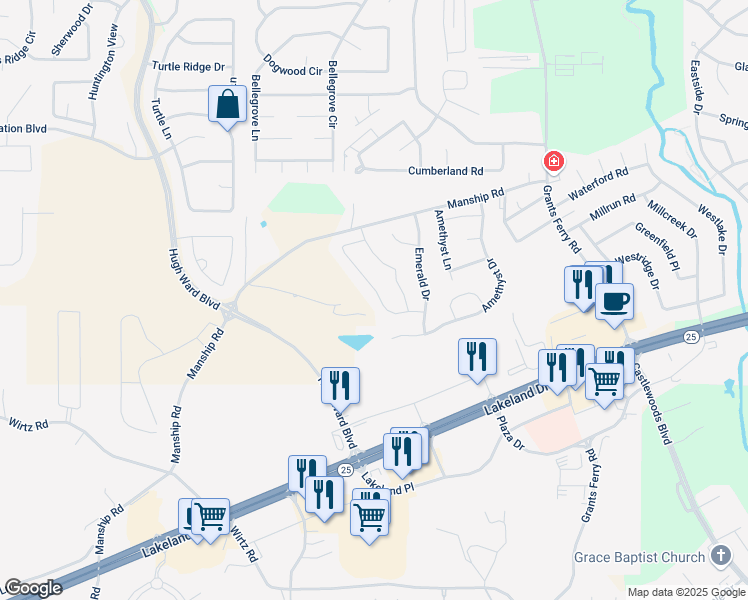 map of restaurants, bars, coffee shops, grocery stores, and more near 319 Emerald Way in Brandon