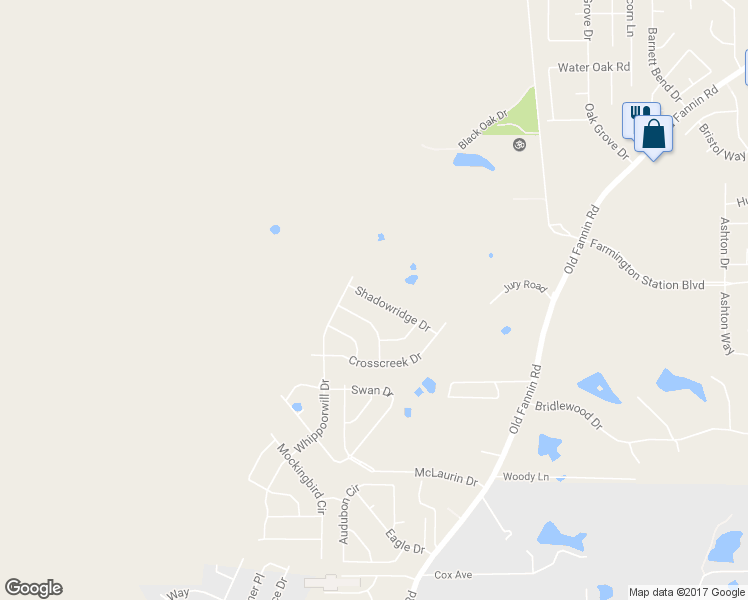 map of restaurants, bars, coffee shops, grocery stores, and more near 608 Shadowridge Drive in Brandon