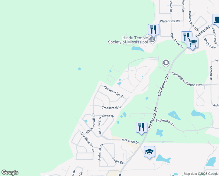 map of restaurants, bars, coffee shops, grocery stores, and more near 608 Shadowridge Drive in Brandon