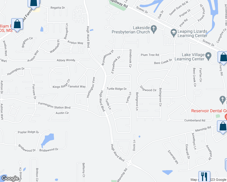 map of restaurants, bars, coffee shops, grocery stores, and more near 113 Turtle Ridge Drive in Brandon