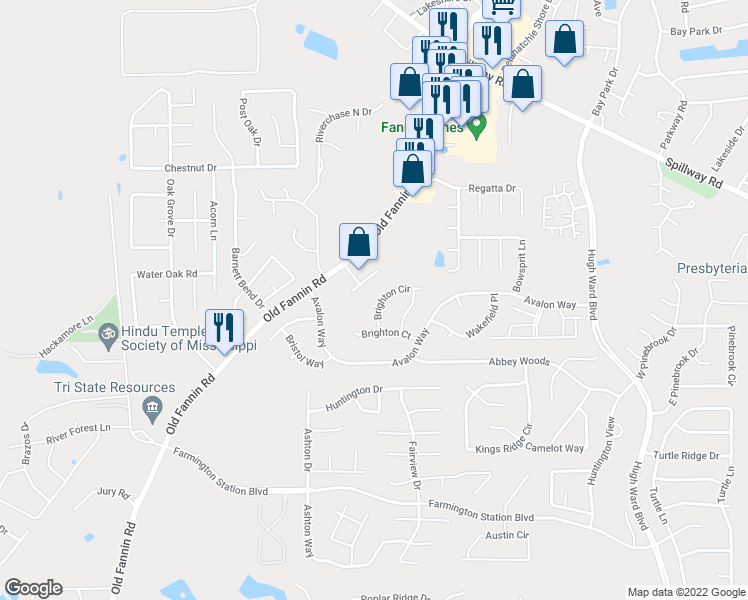 map of restaurants, bars, coffee shops, grocery stores, and more near 224 Avalon Circle in Brandon