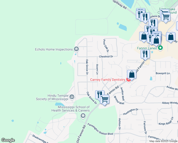 map of restaurants, bars, coffee shops, grocery stores, and more near 209 Chinkapen Drive in Brandon