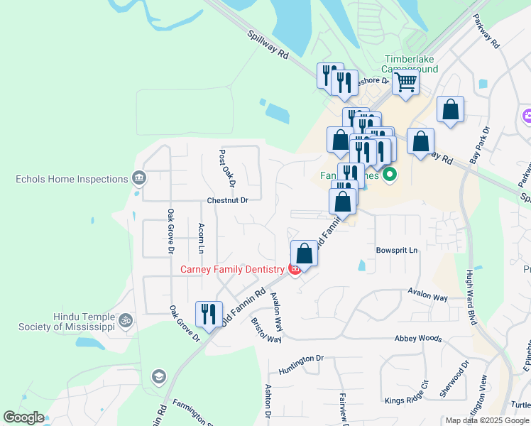 map of restaurants, bars, coffee shops, grocery stores, and more near 890 Riverchase Drive in Brandon