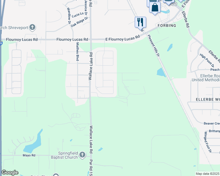 map of restaurants, bars, coffee shops, grocery stores, and more near 235 Rutan Avenue in Shreveport