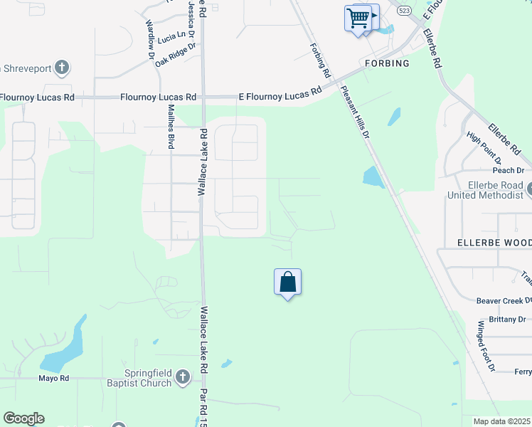 map of restaurants, bars, coffee shops, grocery stores, and more near 235 Rutan Avenue in Shreveport