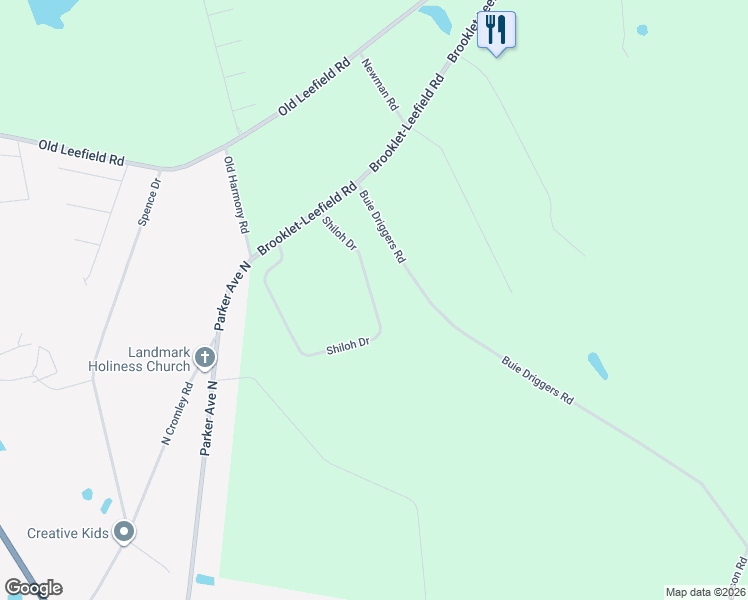 map of restaurants, bars, coffee shops, grocery stores, and more near 207 Shiloh Drive in Brooklet