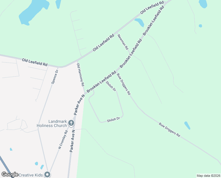 map of restaurants, bars, coffee shops, grocery stores, and more near 229 Shiloh Drive in Brooklet