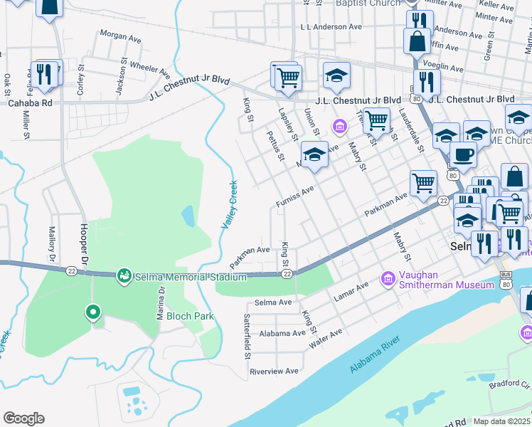 map of restaurants, bars, coffee shops, grocery stores, and more near 429 Young Street in Selma