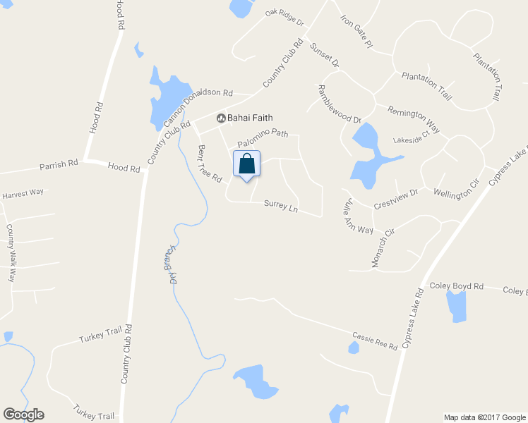 map of restaurants, bars, coffee shops, grocery stores, and more near 225 Surrey Lane in Statesboro