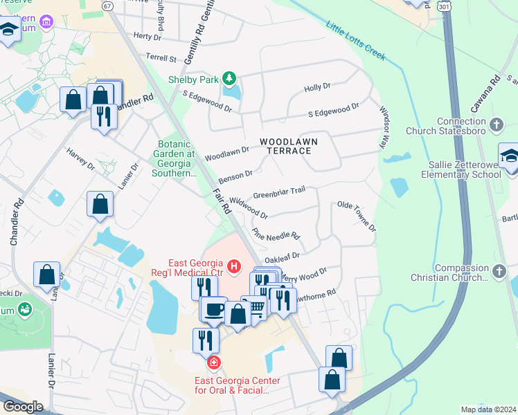 map of restaurants, bars, coffee shops, grocery stores, and more near 203 Wildwood Drive in Statesboro