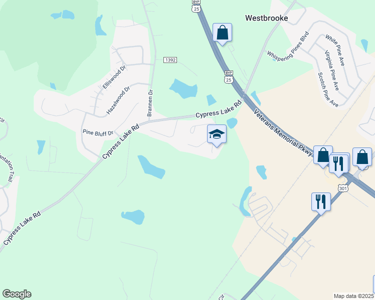 map of restaurants, bars, coffee shops, grocery stores, and more near 226 Courtney Way in Statesboro