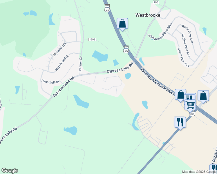map of restaurants, bars, coffee shops, grocery stores, and more near 215 Courtney Way in Statesboro