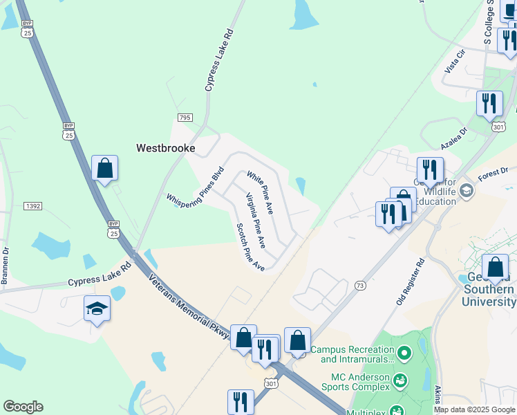 map of restaurants, bars, coffee shops, grocery stores, and more near 135 Rucker Lane in Statesboro