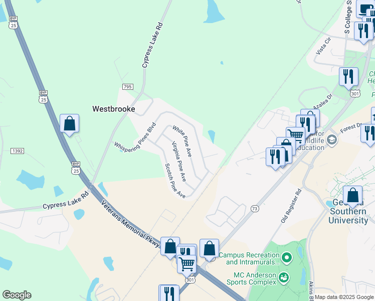 map of restaurants, bars, coffee shops, grocery stores, and more near 135 Rucker Lane in Statesboro