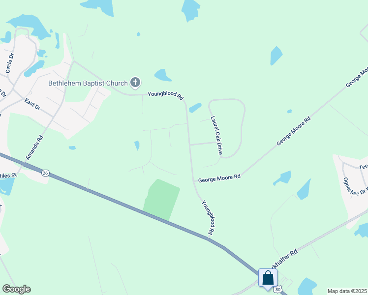 map of restaurants, bars, coffee shops, grocery stores, and more near 201 Youngblood Road in Statesboro