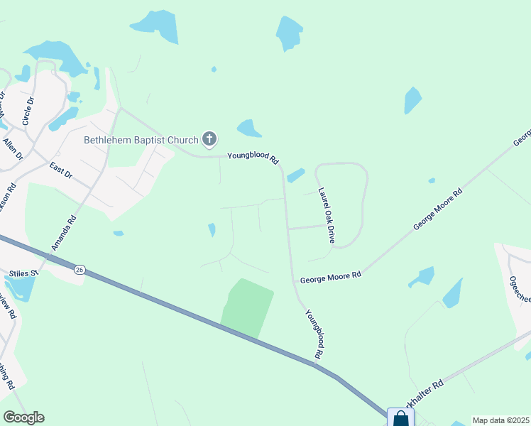 map of restaurants, bars, coffee shops, grocery stores, and more near 201 Youngblood Road in Statesboro
