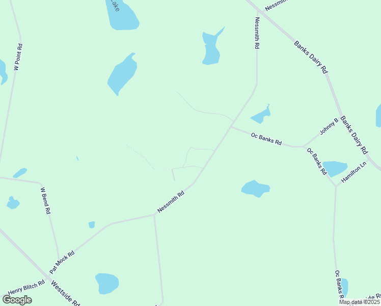 map of restaurants, bars, coffee shops, grocery stores, and more near 2451 Nesmith Road in Statesboro