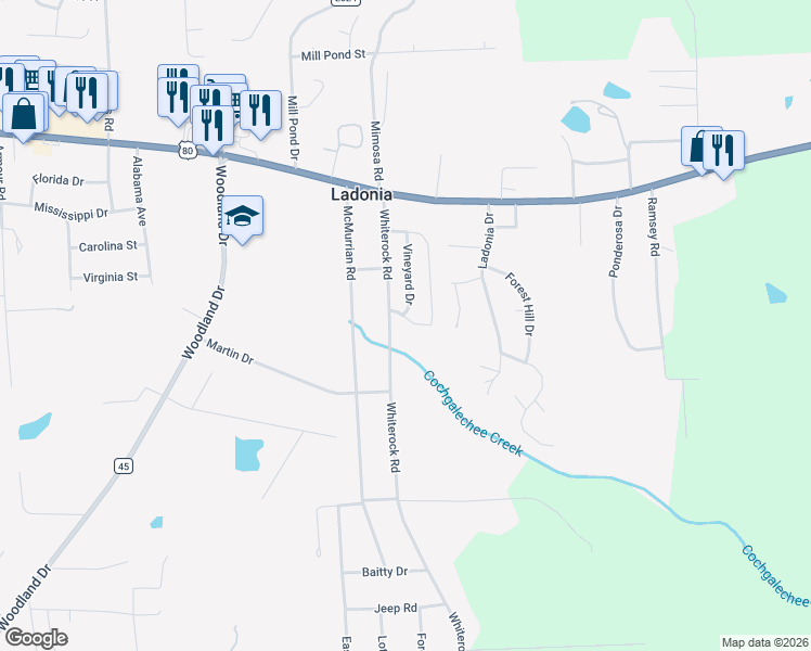 map of restaurants, bars, coffee shops, grocery stores, and more near Vineyard Drive in Phenix City