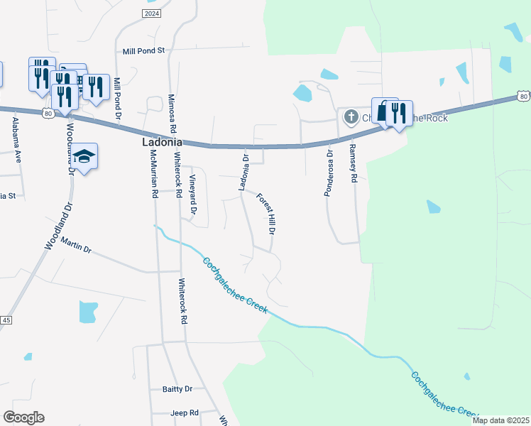 map of restaurants, bars, coffee shops, grocery stores, and more near 12 Forest Hill Drive in Phenix City
