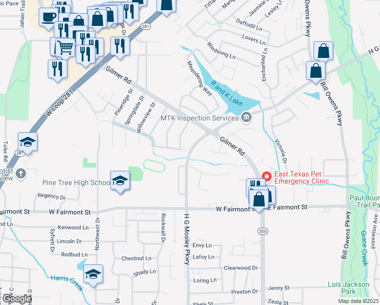 map of restaurants, bars, coffee shops, grocery stores, and more near 1203 H G Moseley Parkway in Longview