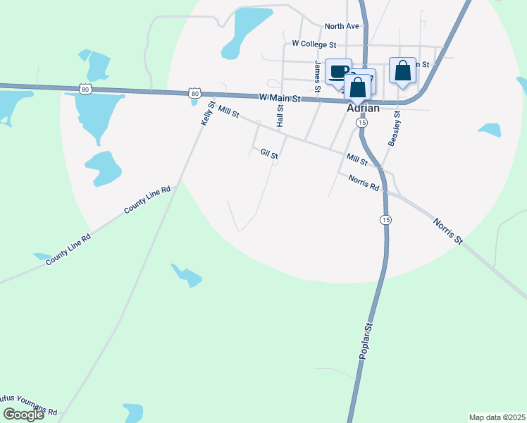 map of restaurants, bars, coffee shops, grocery stores, and more near 339 Gwenda Street in Adrian