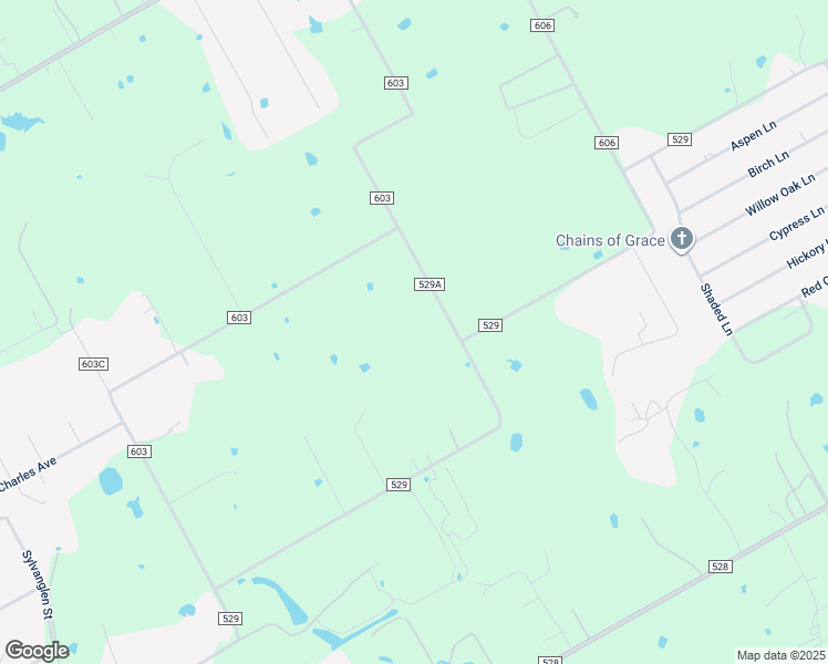 map of restaurants, bars, coffee shops, grocery stores, and more near 9717 County Road 529A in Burleson