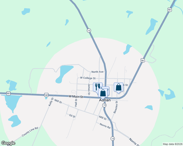 map of restaurants, bars, coffee shops, grocery stores, and more near 224 North Avenue in Adrian