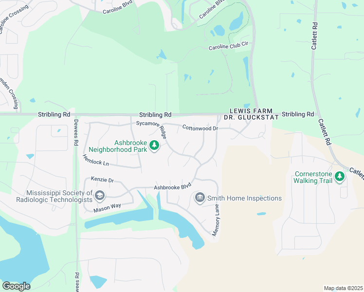 map of restaurants, bars, coffee shops, grocery stores, and more near 103 Elm Court in Madison