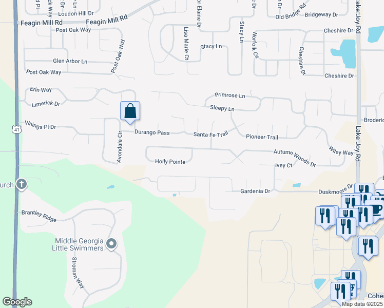 map of restaurants, bars, coffee shops, grocery stores, and more near 161 Holly Pointe in Warner Robins