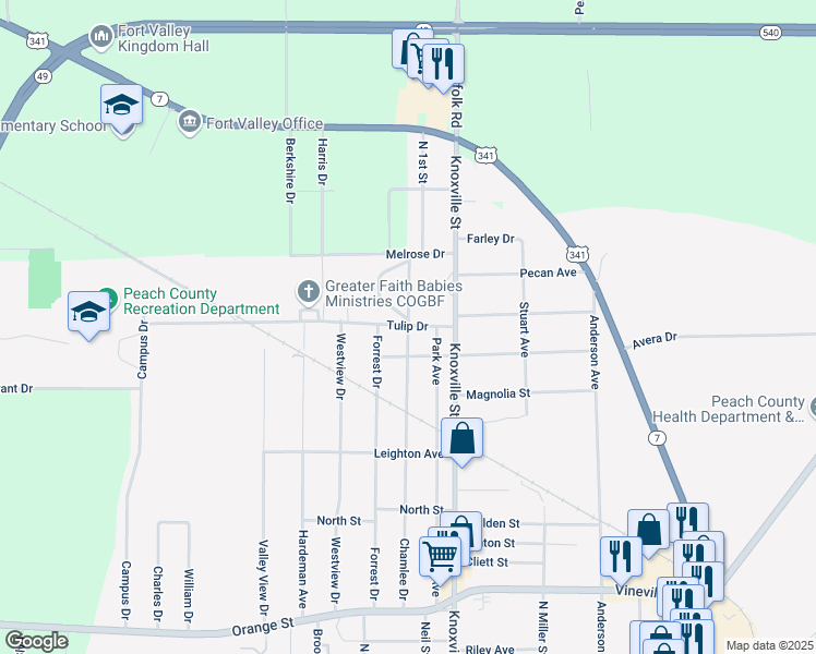 map of restaurants, bars, coffee shops, grocery stores, and more near 801 Chamlee Drive in Fort Valley