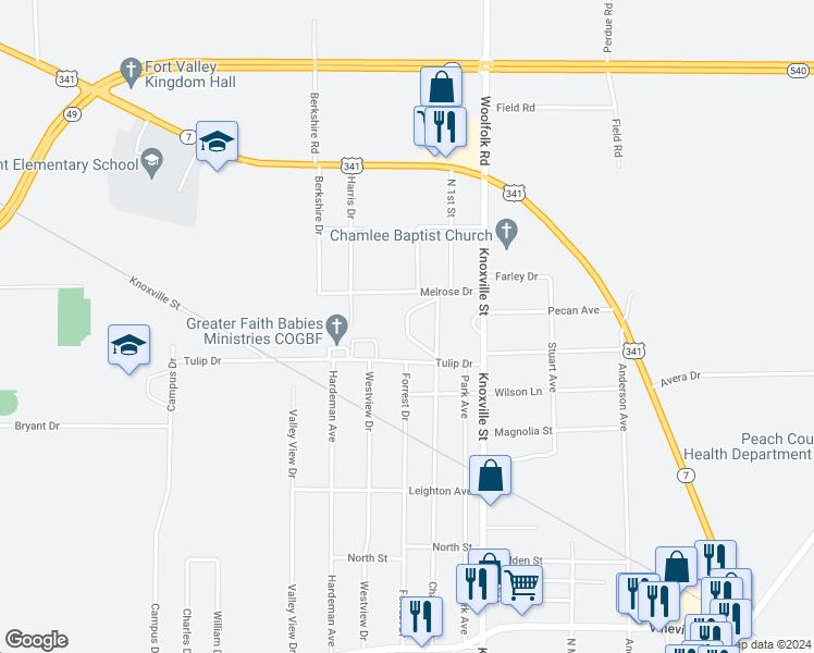 map of restaurants, bars, coffee shops, grocery stores, and more near 801 Chamlee Drive in Fort Valley