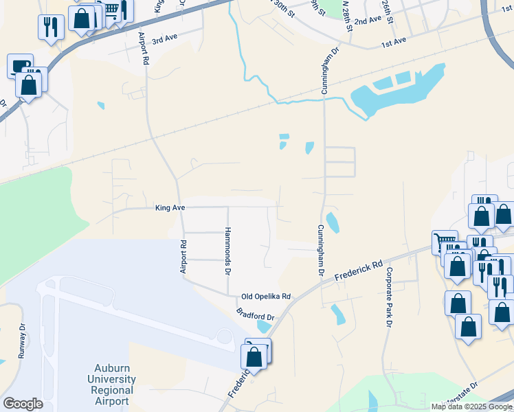 map of restaurants, bars, coffee shops, grocery stores, and more near 3004 King Avenue in Opelika