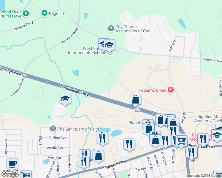 map of restaurants, bars, coffee shops, grocery stores, and more near 2908 Birmingham Highway in Opelika