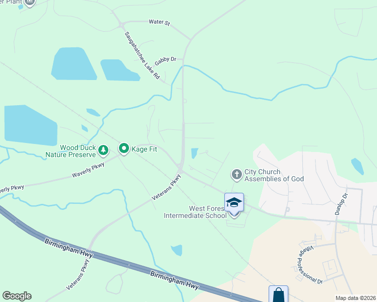 map of restaurants, bars, coffee shops, grocery stores, and more near 705 Veterans Parkway in Opelika