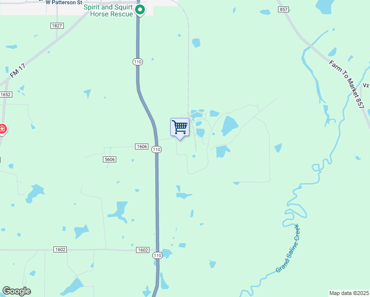 map of restaurants, bars, coffee shops, grocery stores, and more near 801 Texas 110 in Grand Saline