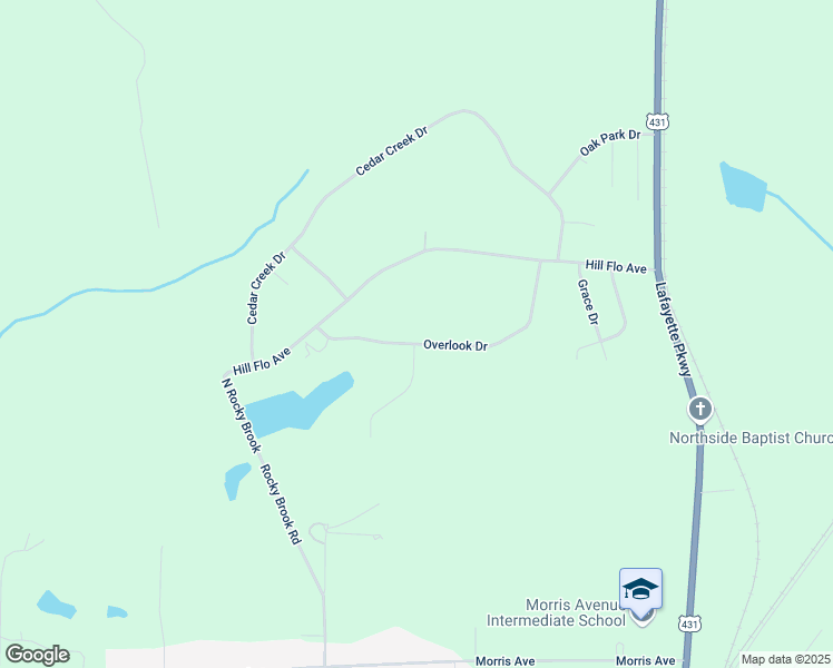 map of restaurants, bars, coffee shops, grocery stores, and more near in Opelika