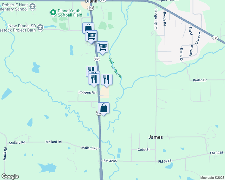 map of restaurants, bars, coffee shops, grocery stores, and more near 105 Village Drive in Diana