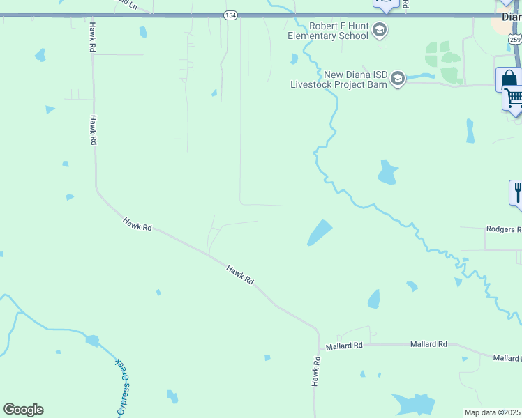 map of restaurants, bars, coffee shops, grocery stores, and more near 1787 Strong Road in Diana