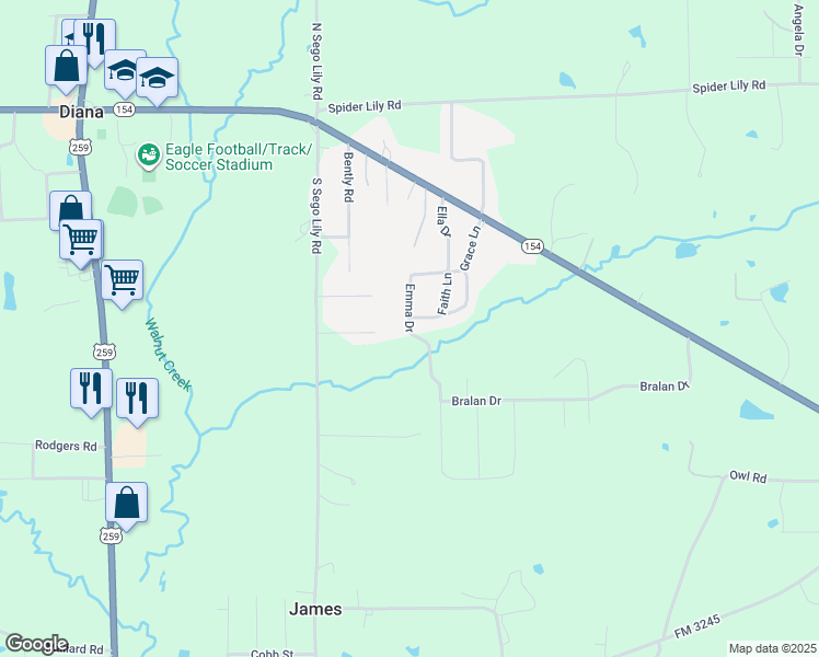map of restaurants, bars, coffee shops, grocery stores, and more near 194 Emma in Diana