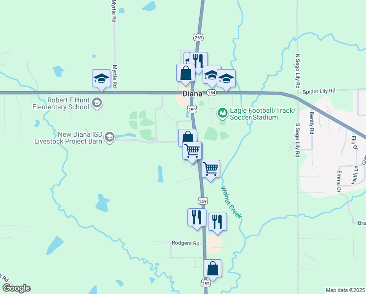 map of restaurants, bars, coffee shops, grocery stores, and more near 1804 Baseball Loop in Diana