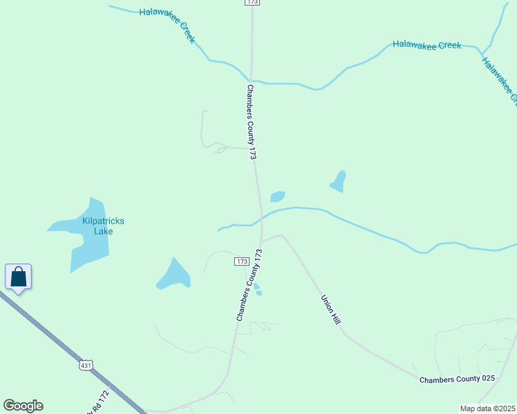 map of restaurants, bars, coffee shops, grocery stores, and more near 1371 County Road 389 in Opelika