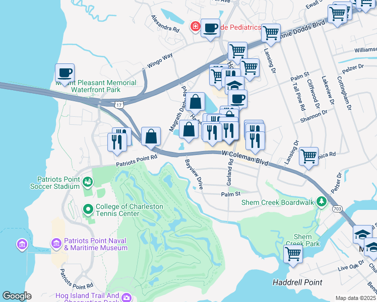map of restaurants, bars, coffee shops, grocery stores, and more near 222 West Coleman Boulevard in Mount Pleasant