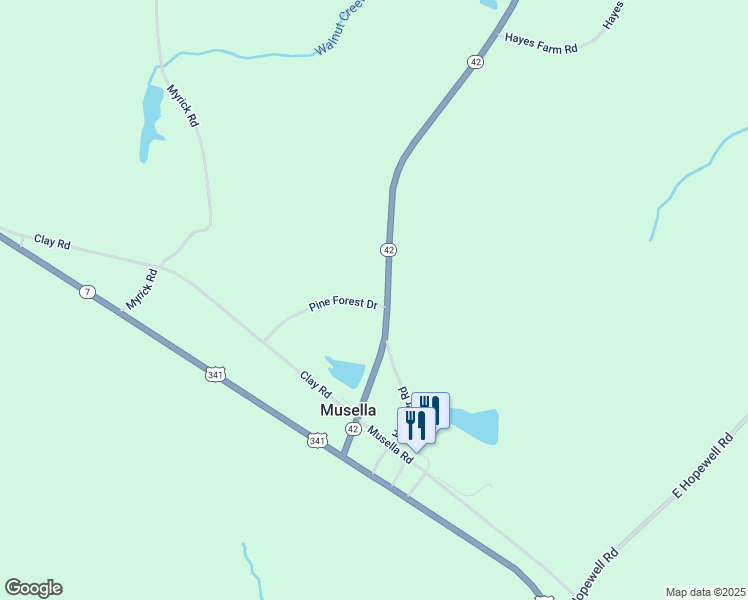 map of restaurants, bars, coffee shops, grocery stores, and more near 80 Pine Forest Drive in Musella