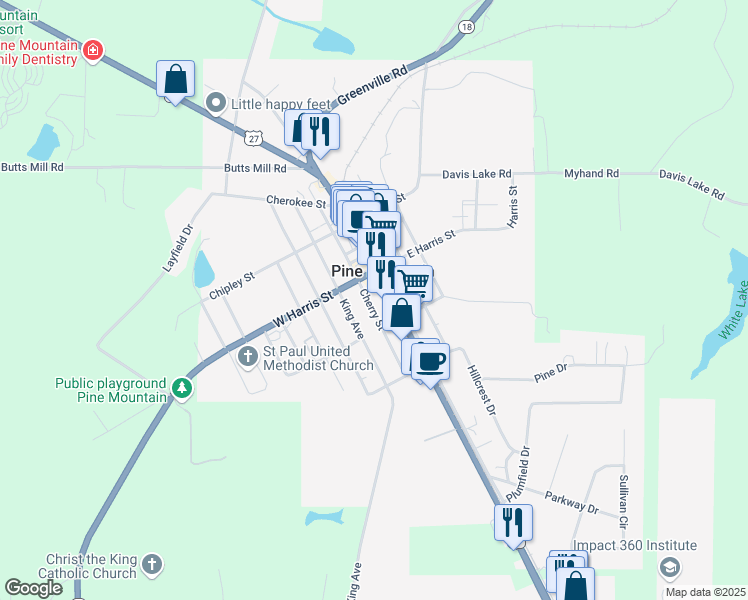map of restaurants, bars, coffee shops, grocery stores, and more near 128 South Main Avenue in Pine Mountain