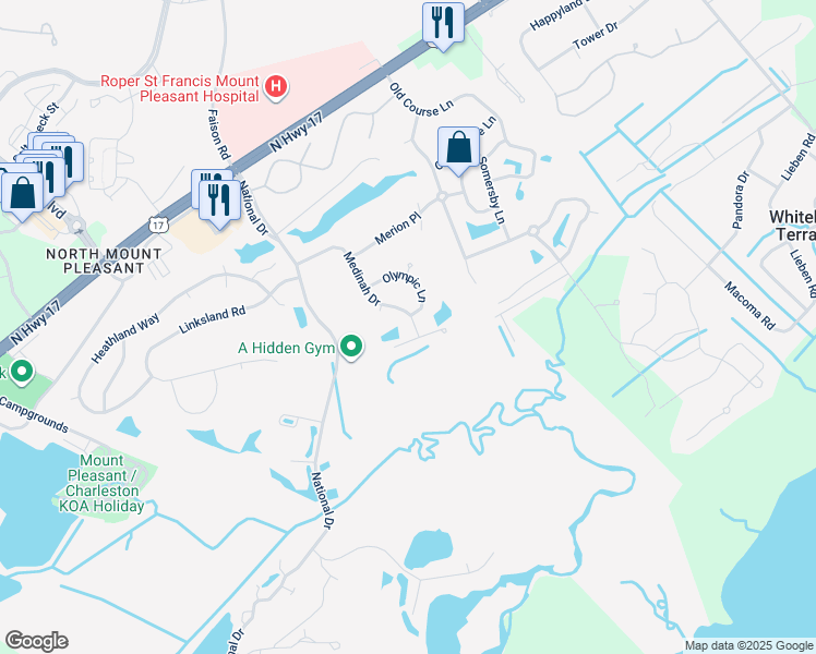 map of restaurants, bars, coffee shops, grocery stores, and more near 1255 Medinah Drive in Mount Pleasant