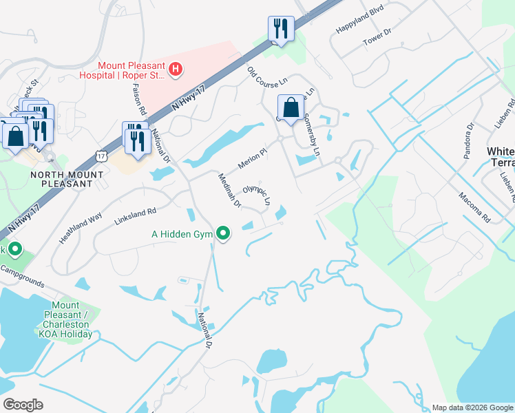 map of restaurants, bars, coffee shops, grocery stores, and more near 1248 Medinah Drive in Mount Pleasant